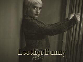 LeatherBunny
