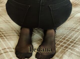 Ledana Films 2 Q