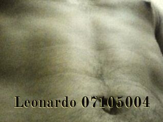 Leonardo-07105004