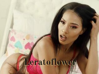 Leratoflower Films 2 Q