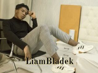 LiamBladek