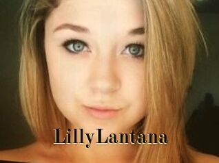 LillyLantana
