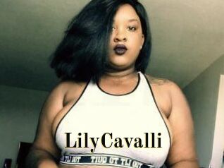 Lily_Cavalli