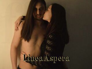 LineaAspera