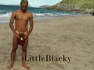 LittleBlacky Films 2 Q