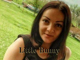 Little_Bunny_