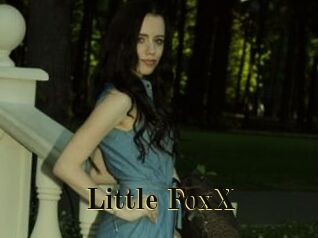 Little_FoxX