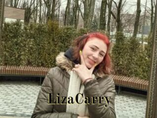 LizaCarry