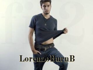LorenzoBurnB