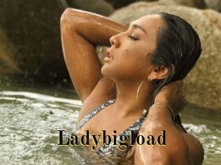 Ladybigload
