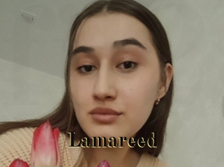 Lamareed