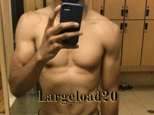 Largeload20
