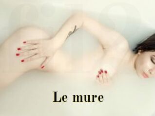 le_mure Films 2 Q