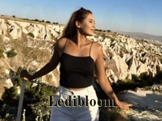 Ledibloom