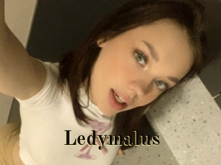 Ledymalus