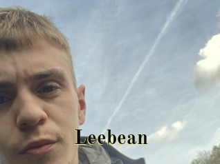 leebean Films 2 Q