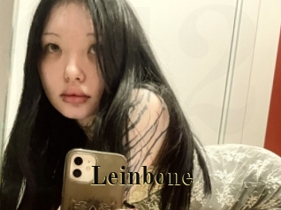 leinbone Films 2 Q