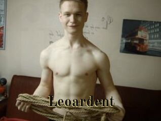 leoardent Films 2 Q
