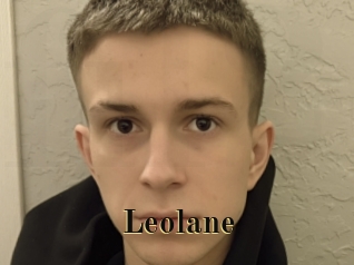 leolane Films 2 Q