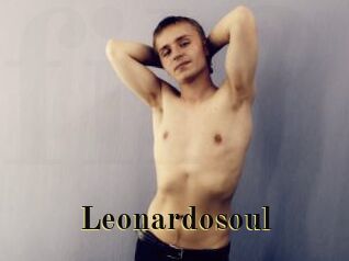 Leonardosoul