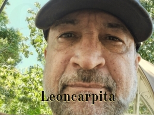 Leoncarpita