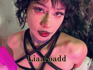 Liaaroadd