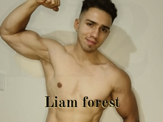 Liam_forest