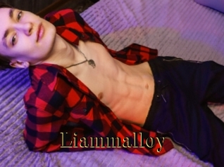 Liammalloy