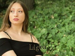 Ligea