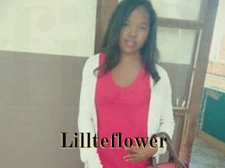 Lillteflower