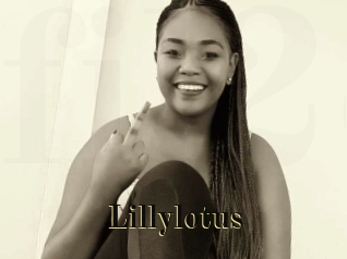 Lillylotus