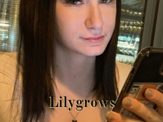 Lilygrows