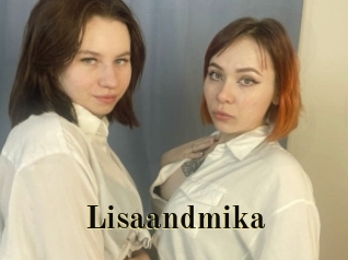 Lisaandmika