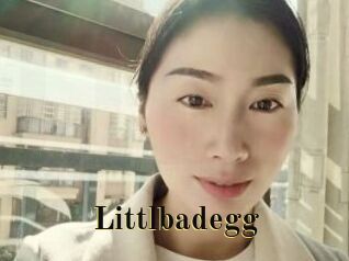 Littlbadegg