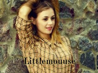 littlemouuse Films 2 Q