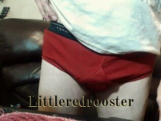 Littleredrooster
