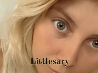 Littlesary