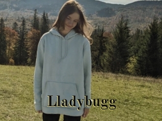 Lladybugg