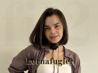 Lornafugler