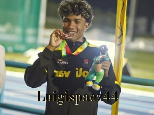 Luigispaez44