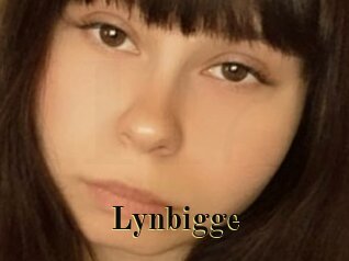 Lynbigge
