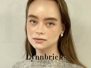 Lynnbricks