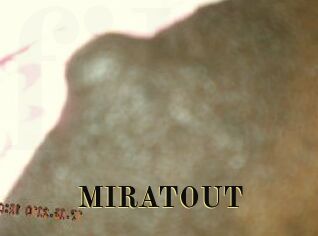 MIRATOUT