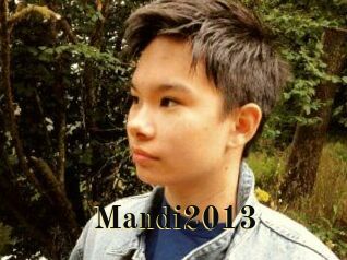 Mandi2013