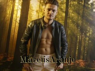 MarcusAranjo