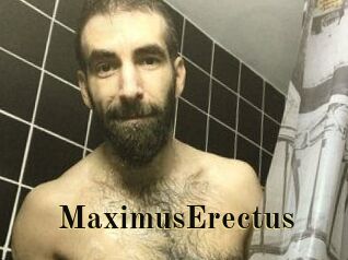 MaximusErectus
