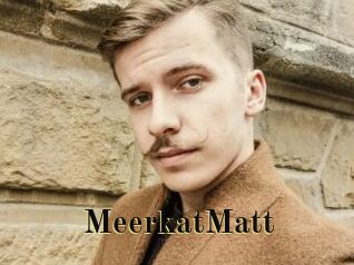 MeerkatMatt