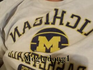 Meglodong1