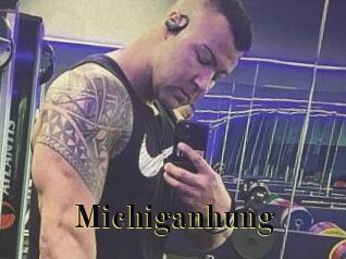 Michiganhung Films 2 Q