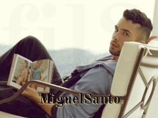 MiguelSanto